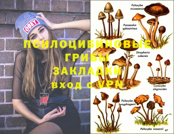 гашиш Алзамай