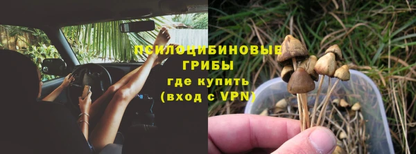 прущий лед Алексин