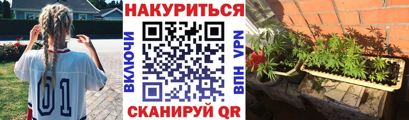 Конопля AK-47  купить наркотики сайты  Новозыбков 